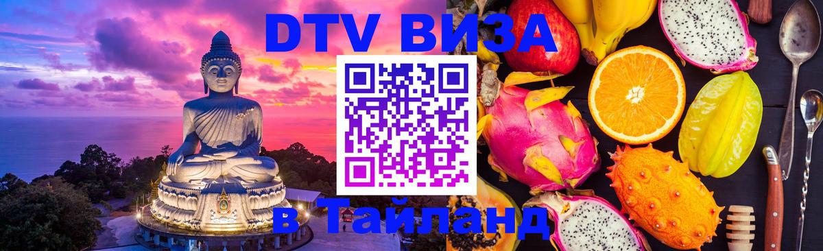 Оформление DTV визы под ключ: стоимость и тарифы, только загранпаспорт - 